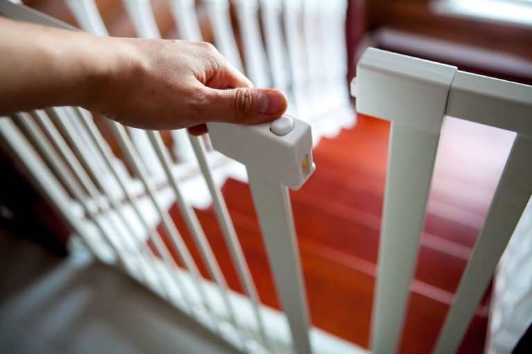 Best Baby Gate For Spiral Staircase 2023