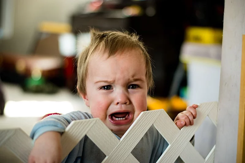 Educate your little one to not climb the gate